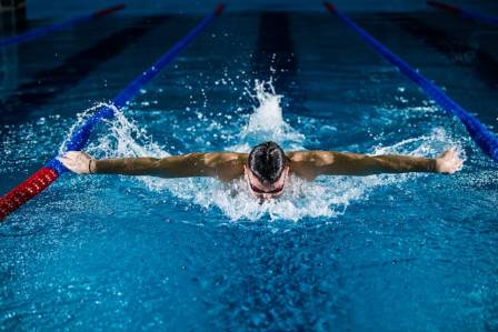 Unraveling the Secrets of Olympian Endurance