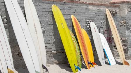 Top 5, First Surfboards when learning to surf