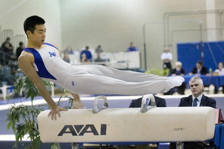 The Evolution of the Gymnastics Pommel Horse